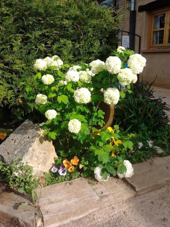 El Jardin De La Huerta Hotel Sahagun Luaran gambar